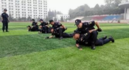 自動報(bào)靶系統(tǒng)